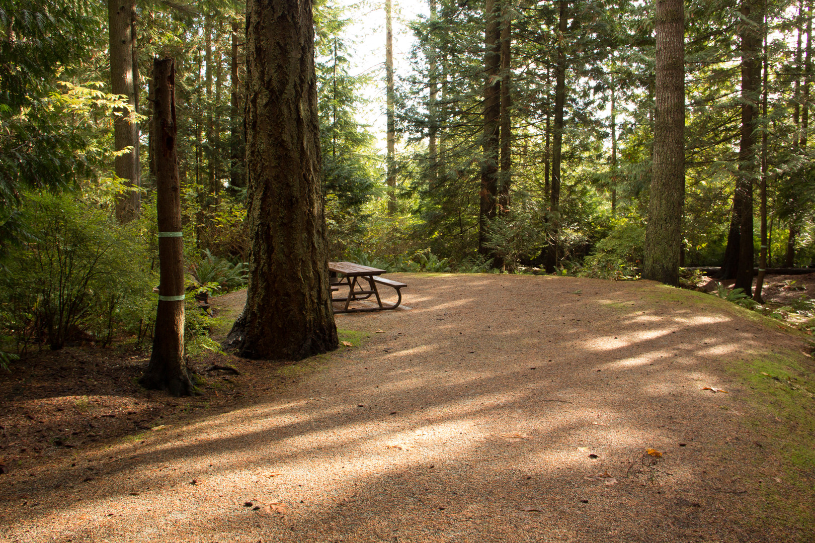 Roberts Creek Provincial Campground Outdoor Project