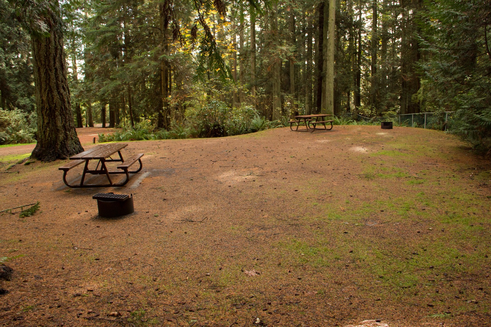 Roberts Creek Provincial Campground Outdoor Project