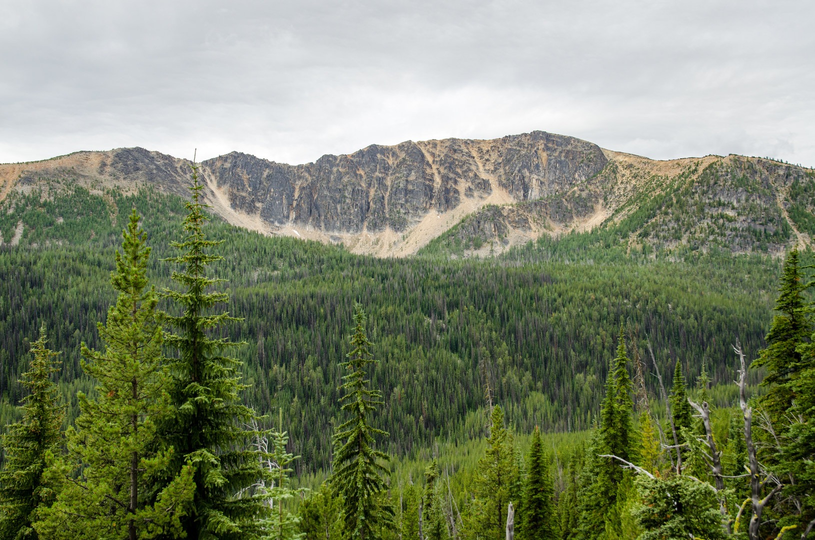Pacific Northwest National Scenic - Oroville Ross 6460 