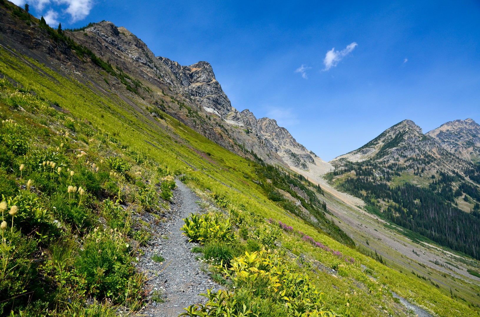 Pacific Northwest National Scenic - Oroville Ross 6673 
