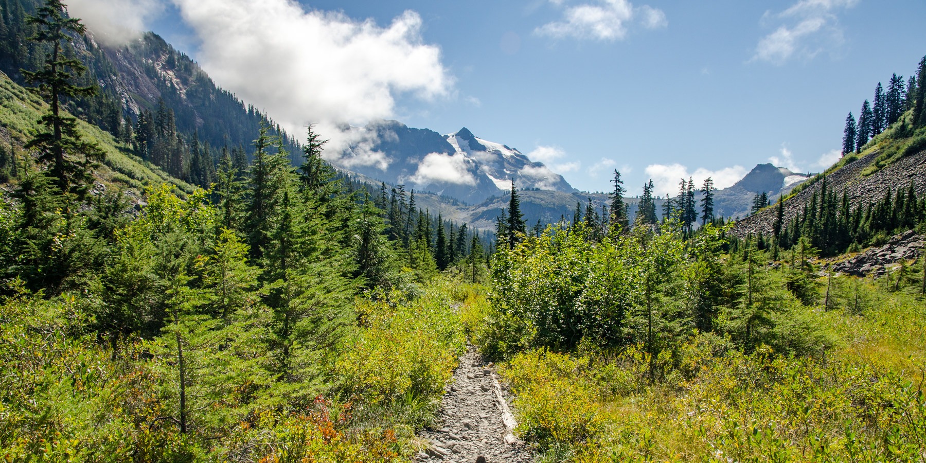 Pacific Northwest National Scenic - Ross Concrete 7004 2 