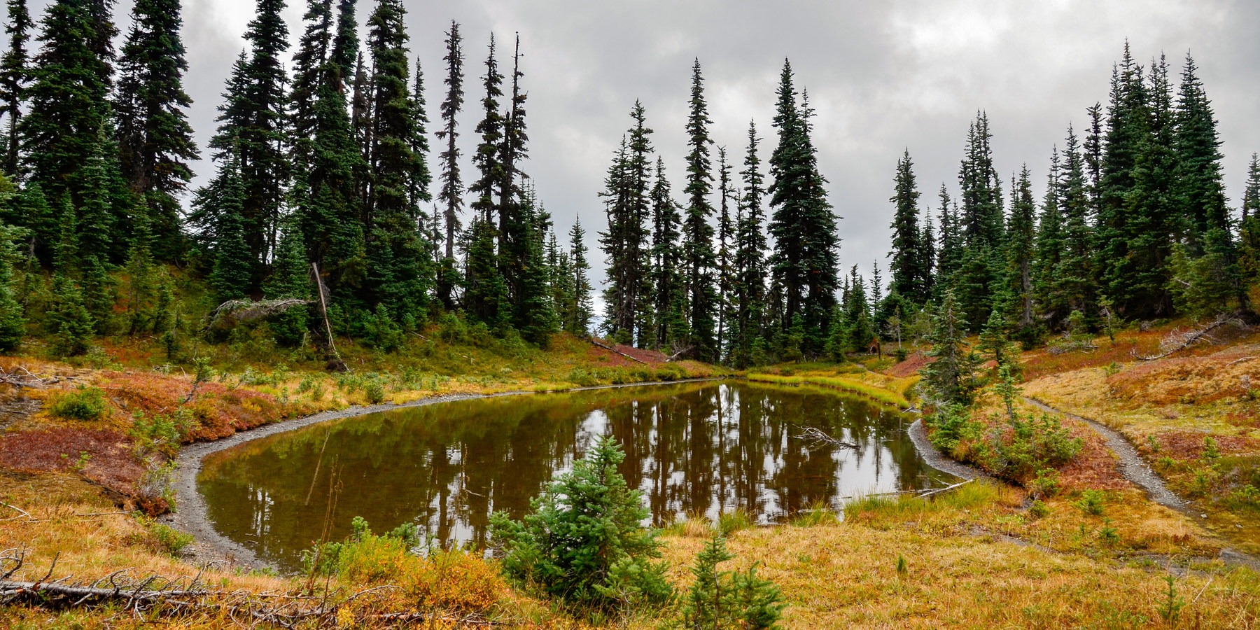 Pacific Northwest National Scenic - Port Townsend Port Angeles 7504 