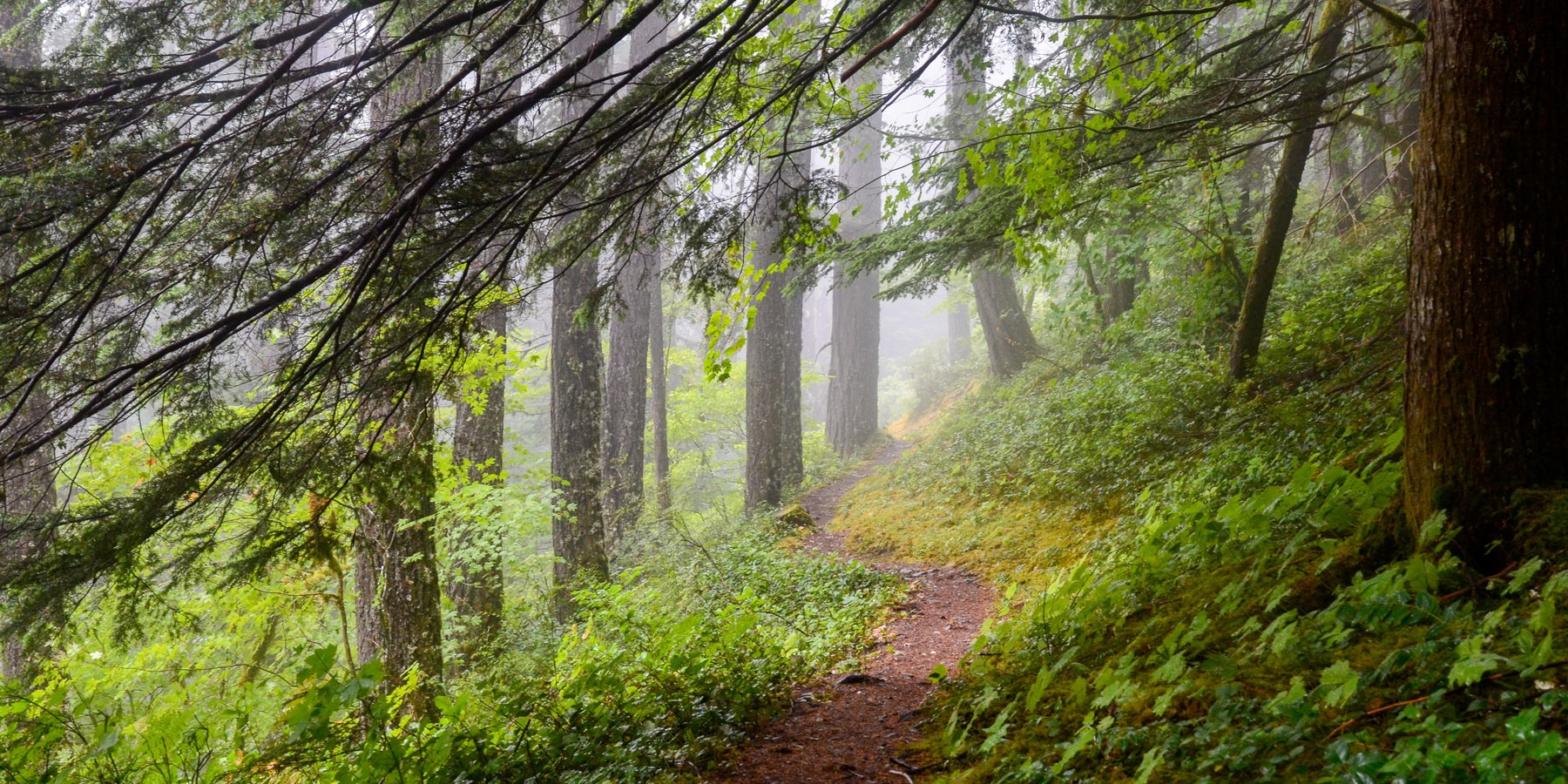 Pacific Northwest National Scenic - Port Townsend Port Angeles 7561 