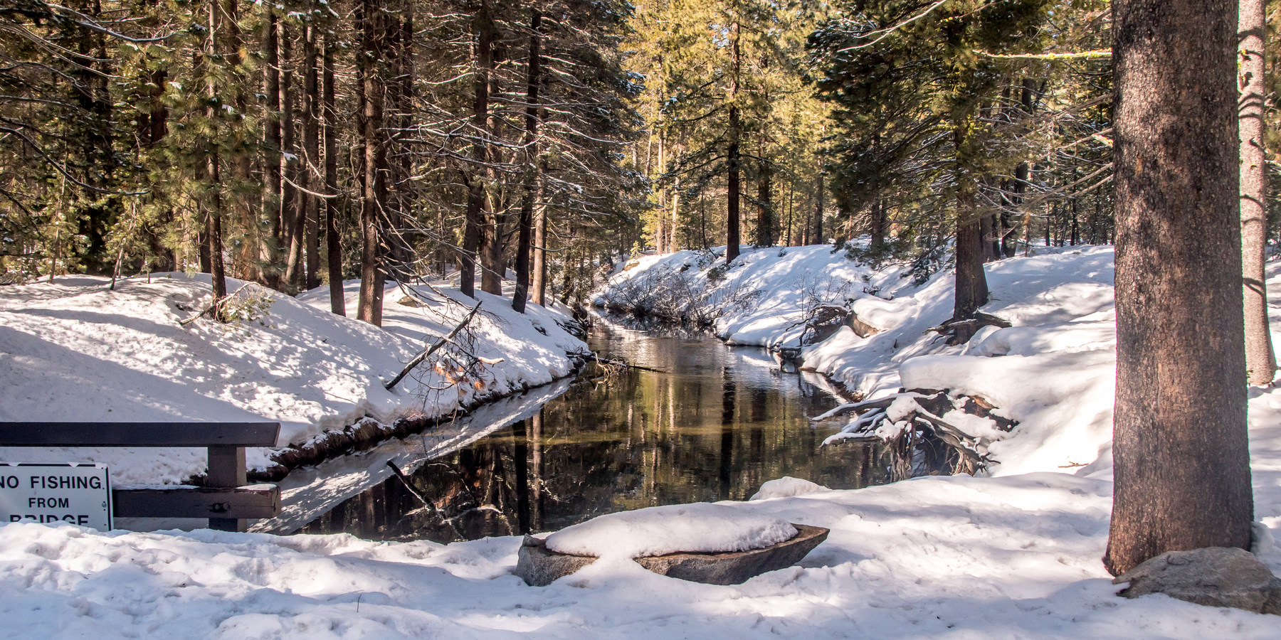 Donner Memorial State Park Snowshoe Outdoor Project