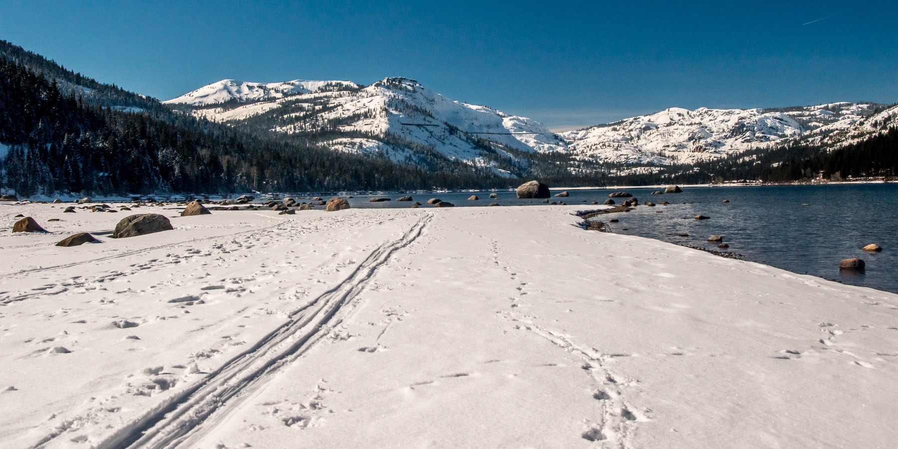 Donner Memorial State Park Snowshoe Outdoor Project