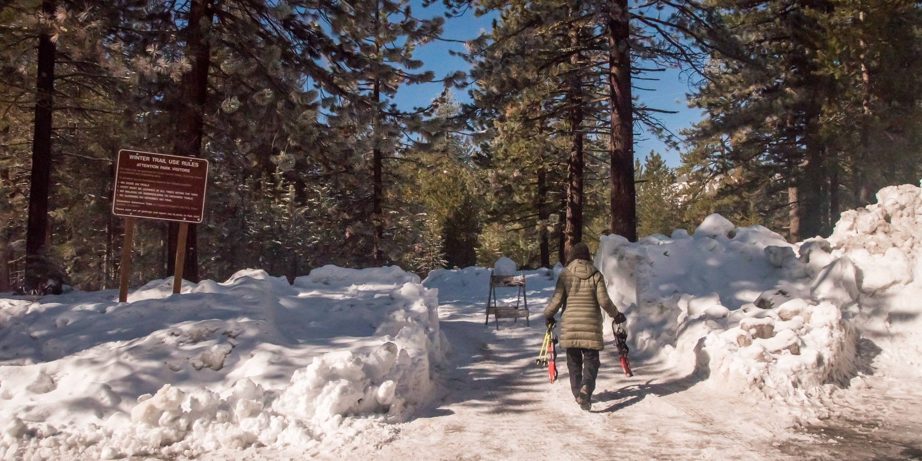 Donner Memorial State Park Snowshoe Outdoor Project