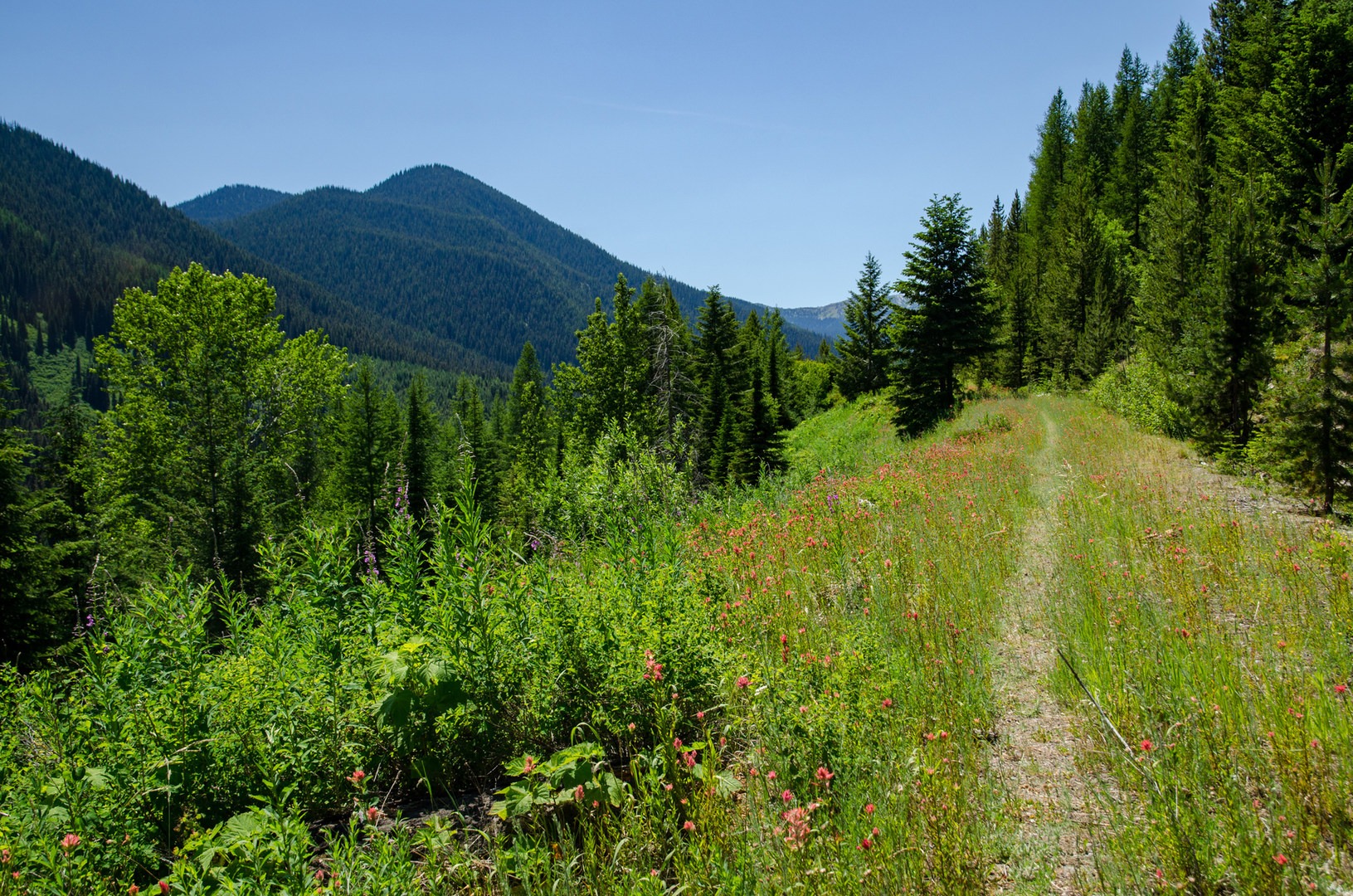 Pacific Northwest National Scenic - 01 Pole Eureka 4984 