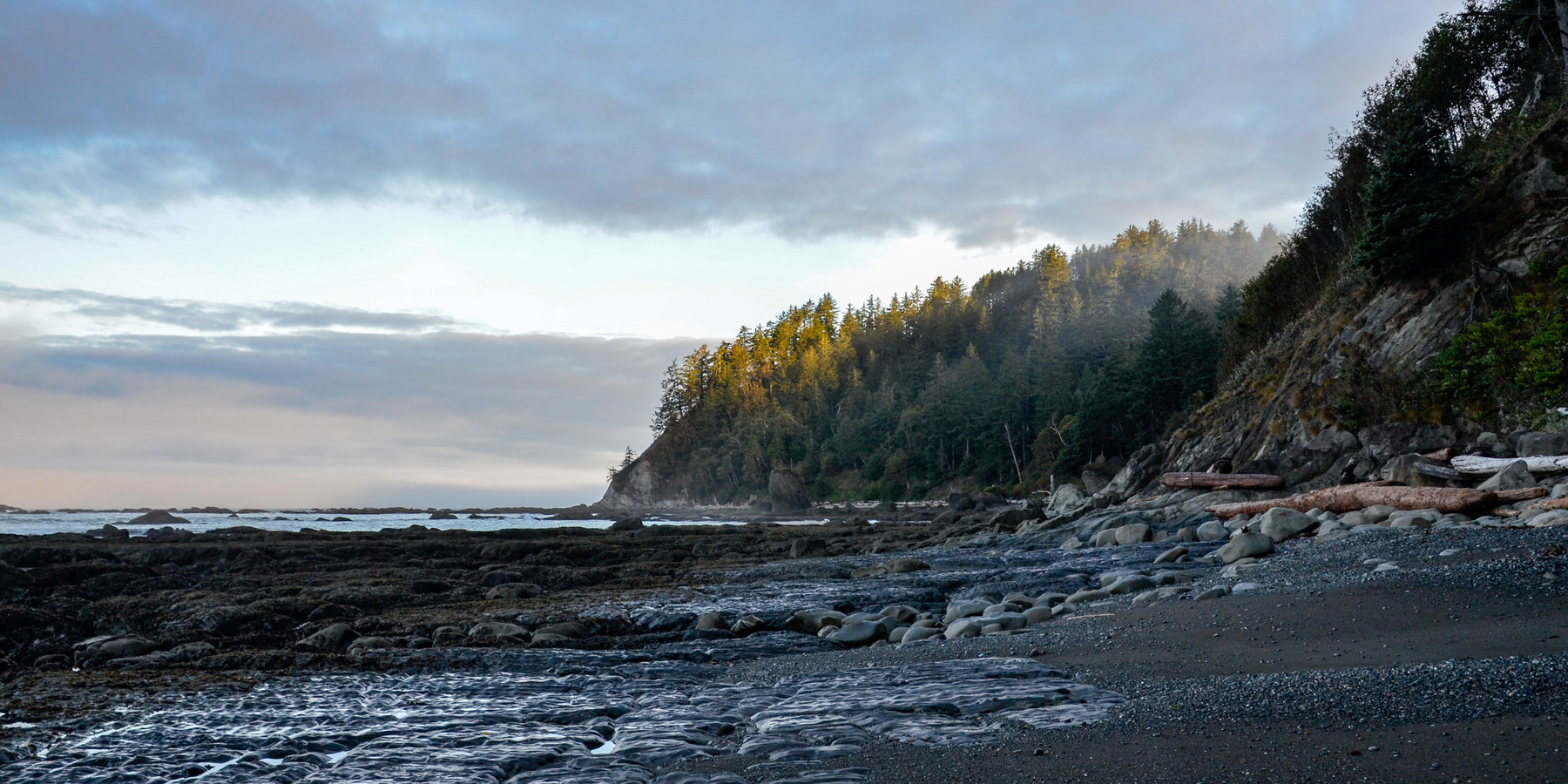 Pacific Northwest National Scenic - Forks Ozette 8075 