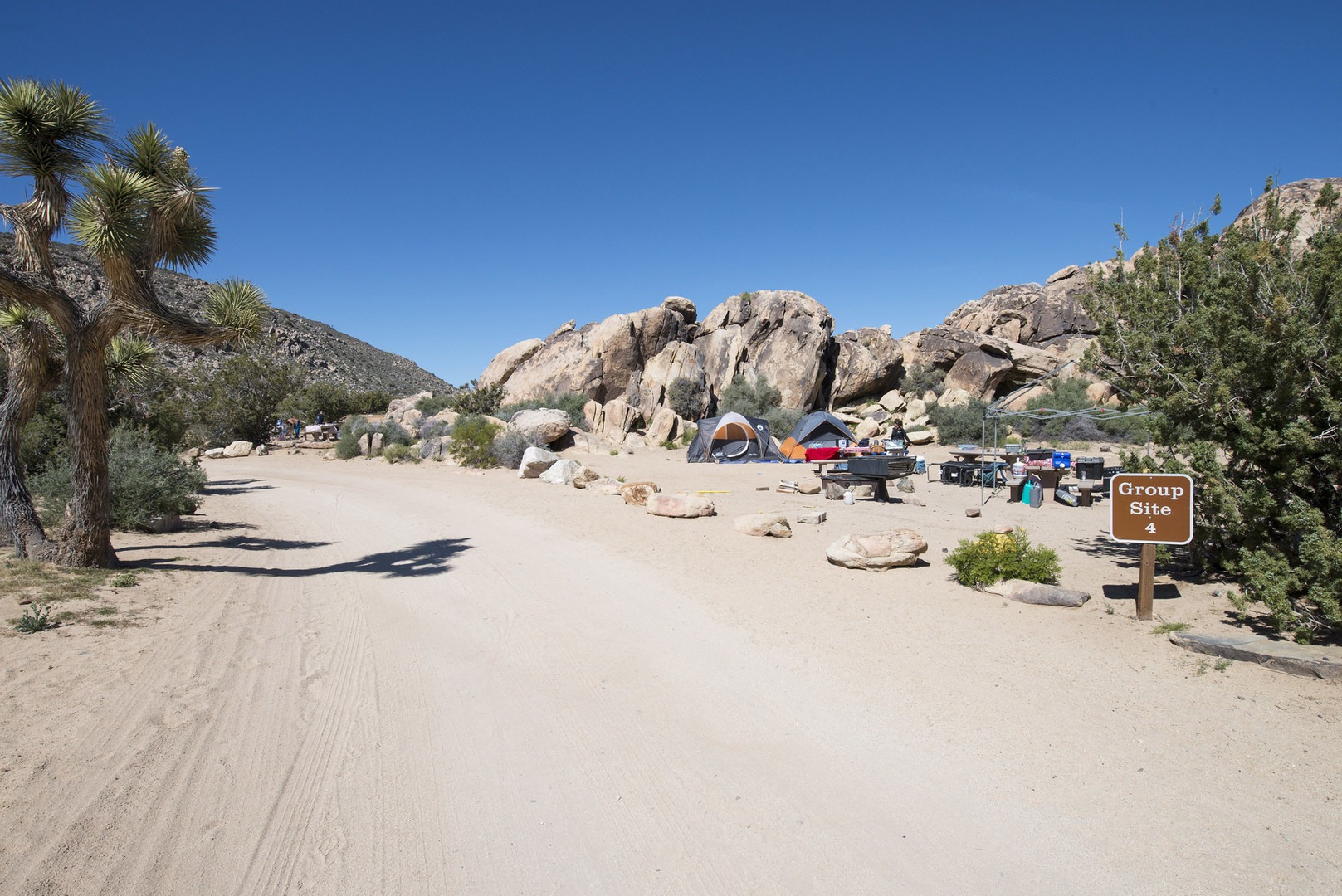Sheep Pass Group Campground Outdoor Project