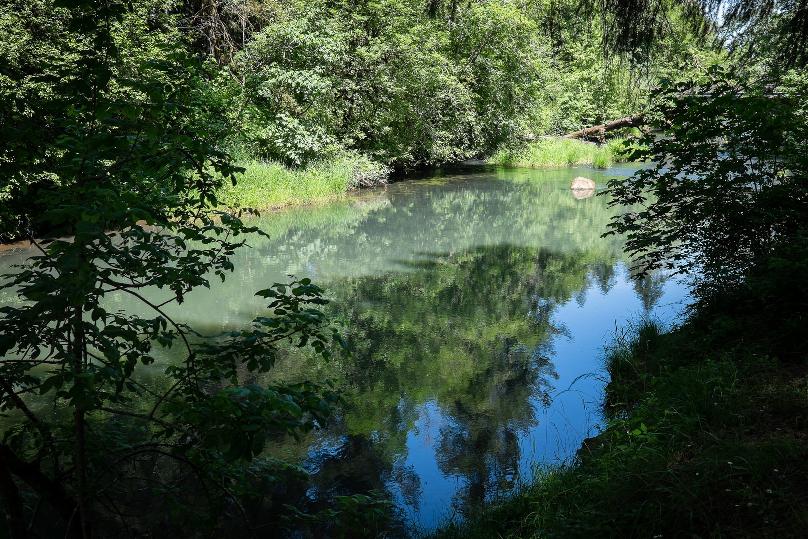 Riverside Park, Cottage Grove Lake Outdoor Project