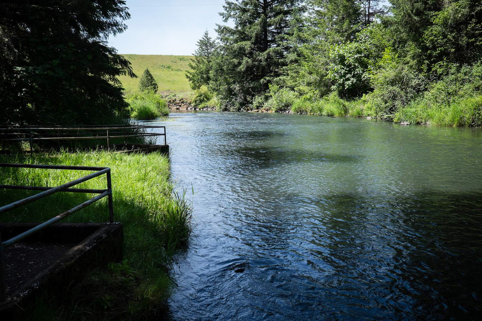 Riverside Park, Cottage Grove Lake Outdoor Project