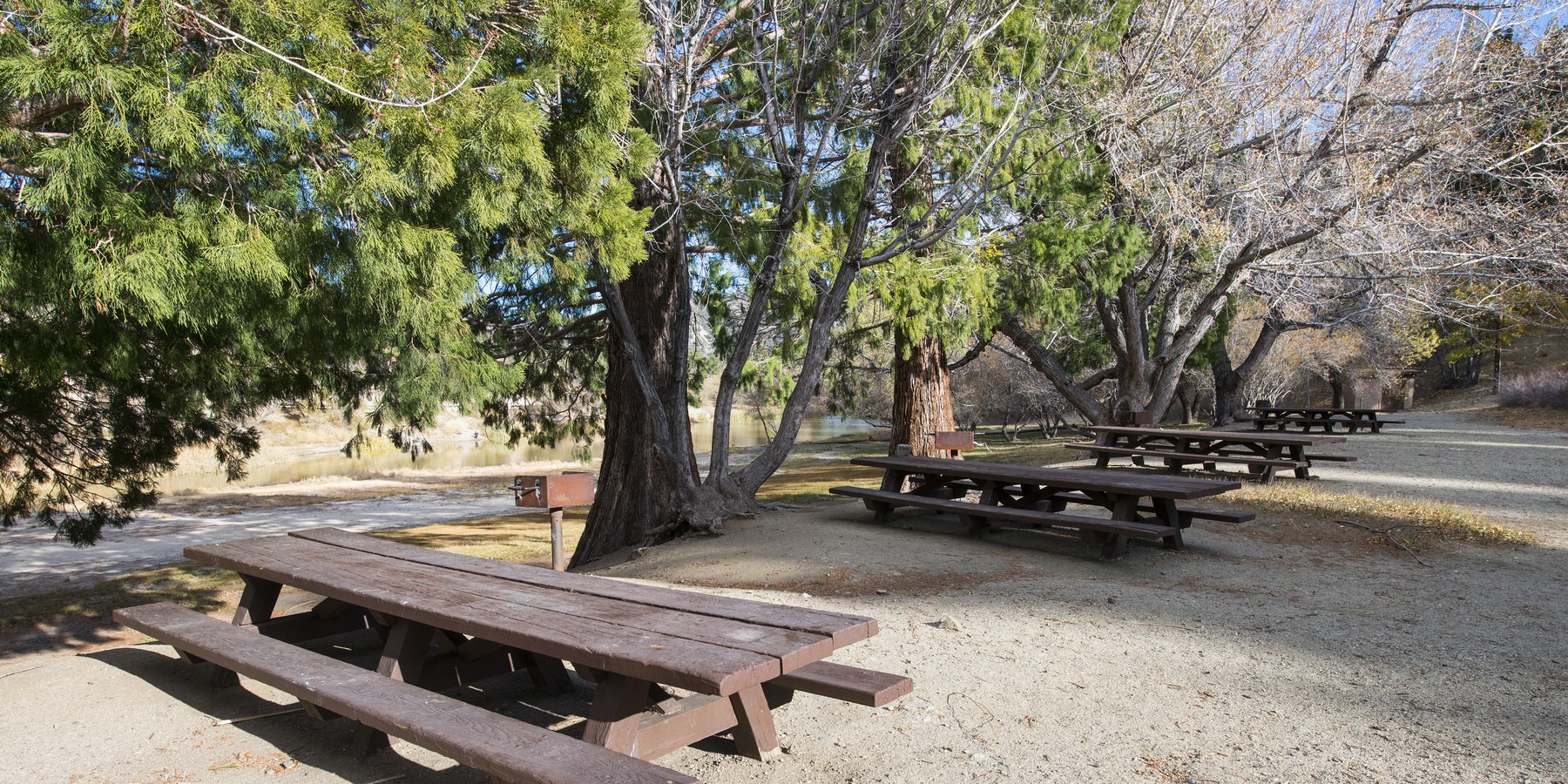 Jackson Lake Day Use Area Outdoor Project