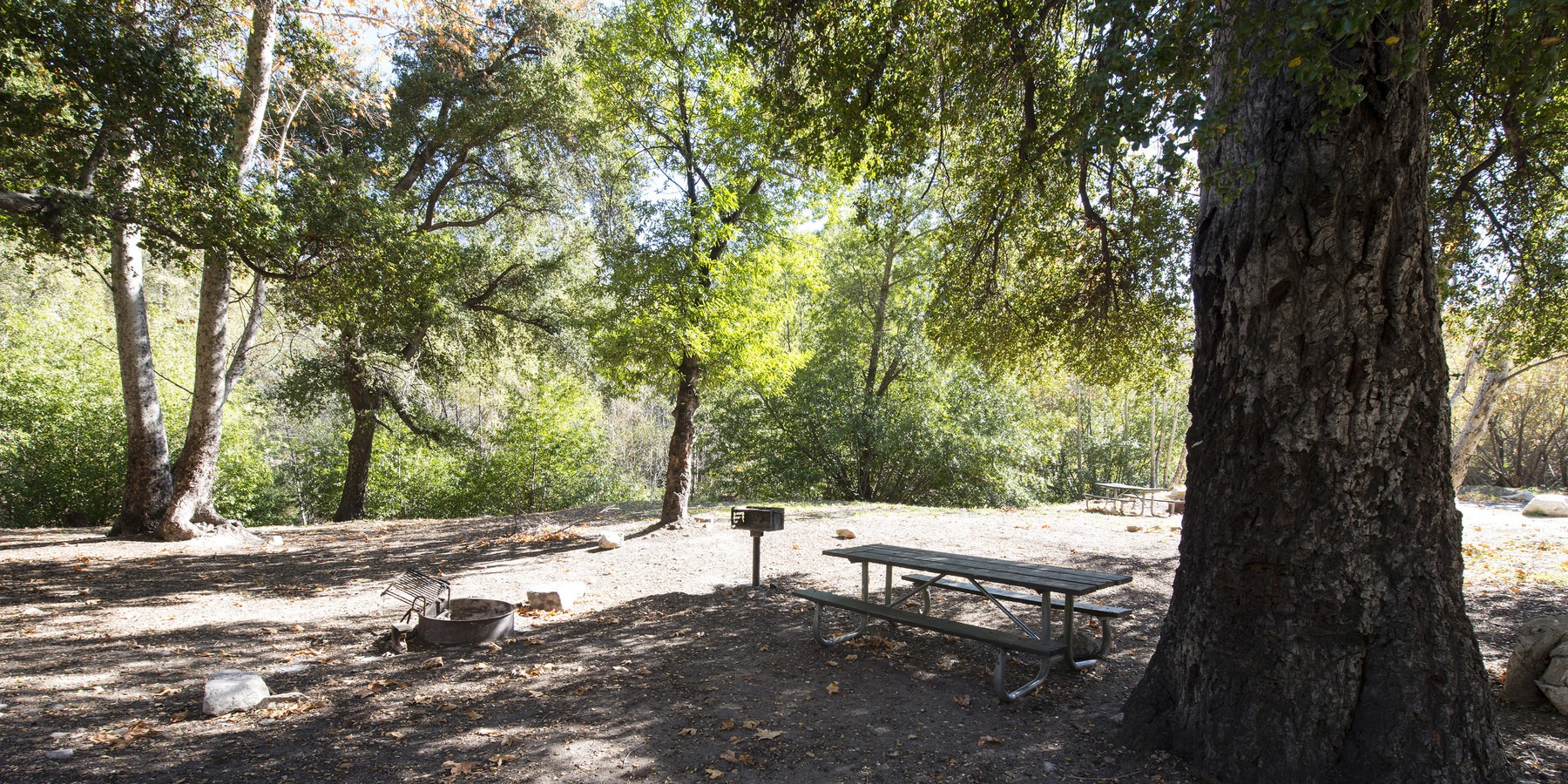 Coldbrook Campground Outdoor Project