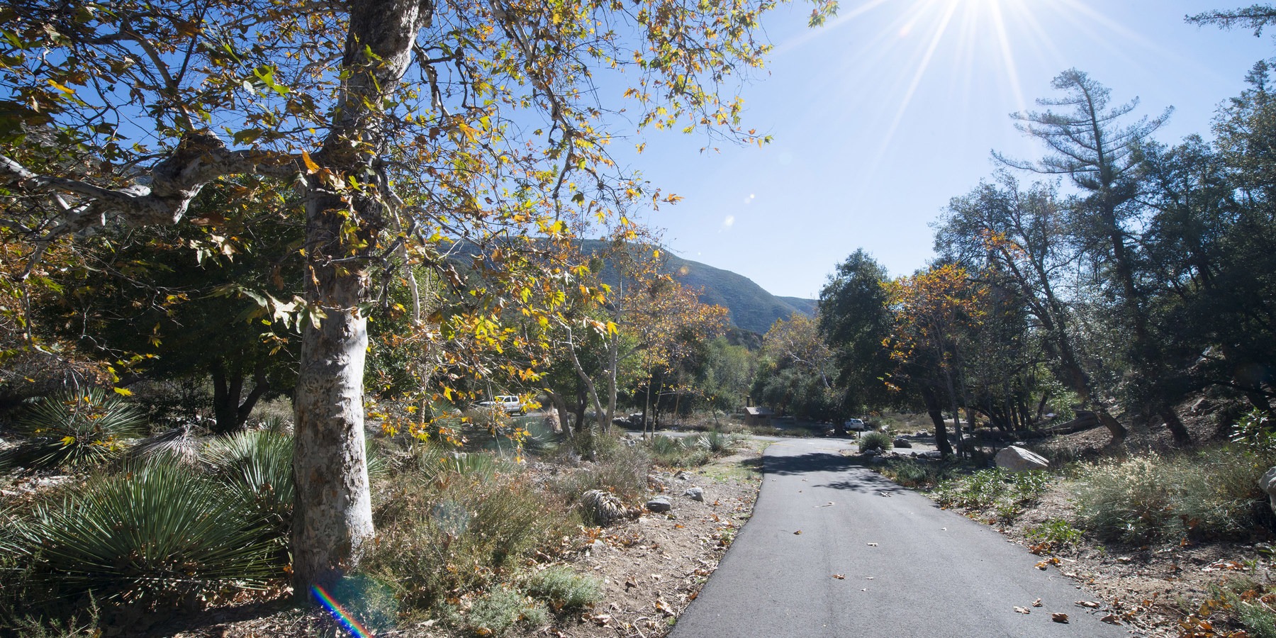 Coldbrook Campground Outdoor Project