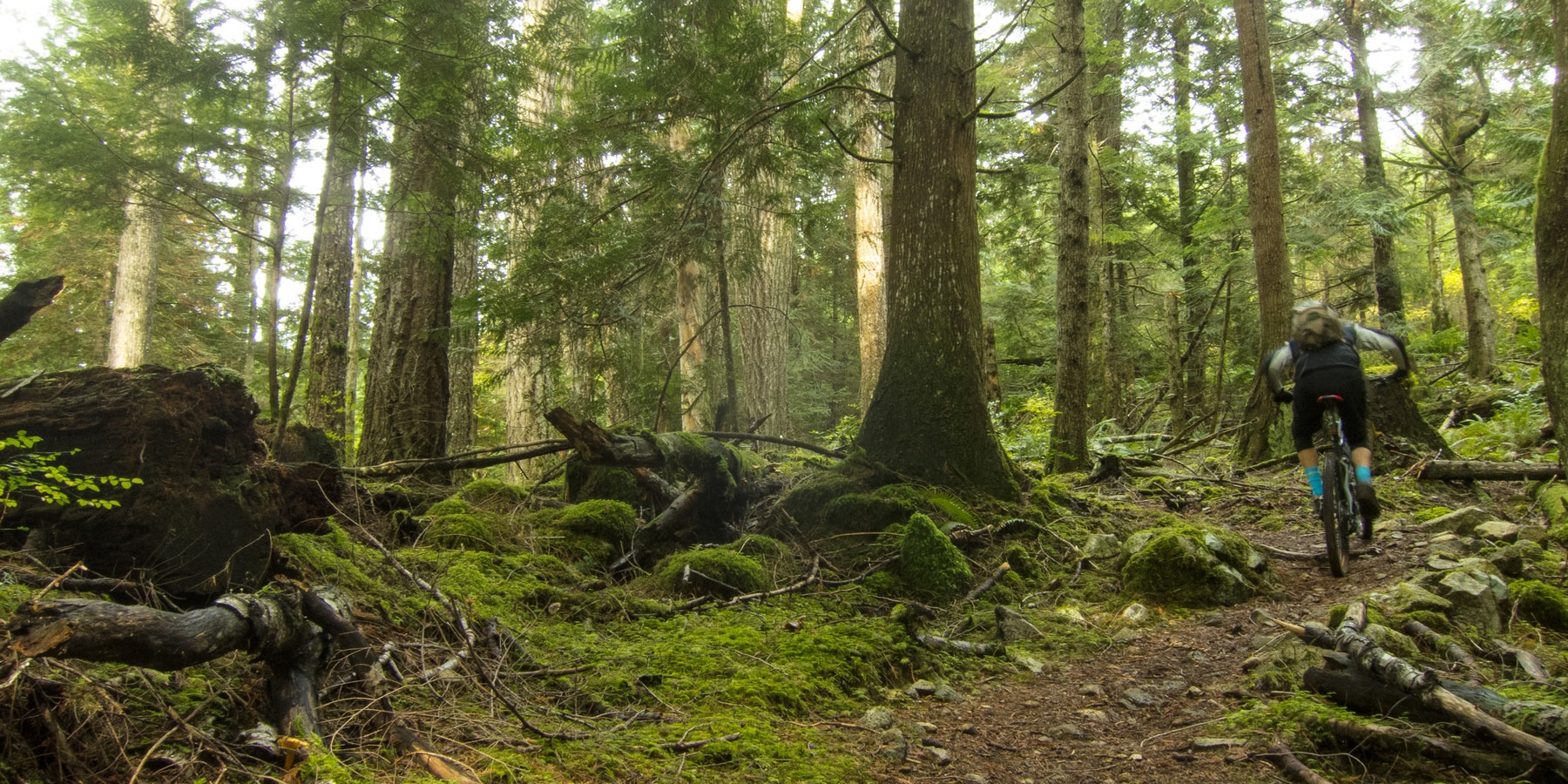 Cabin Fever + Millipede Mountain Bike Trails Outdoor Project