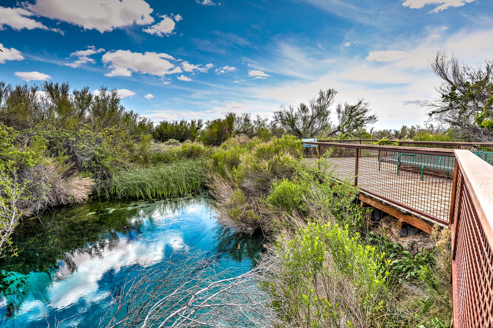 Ash Meadows National Wildlife Refuge Outdoor Project