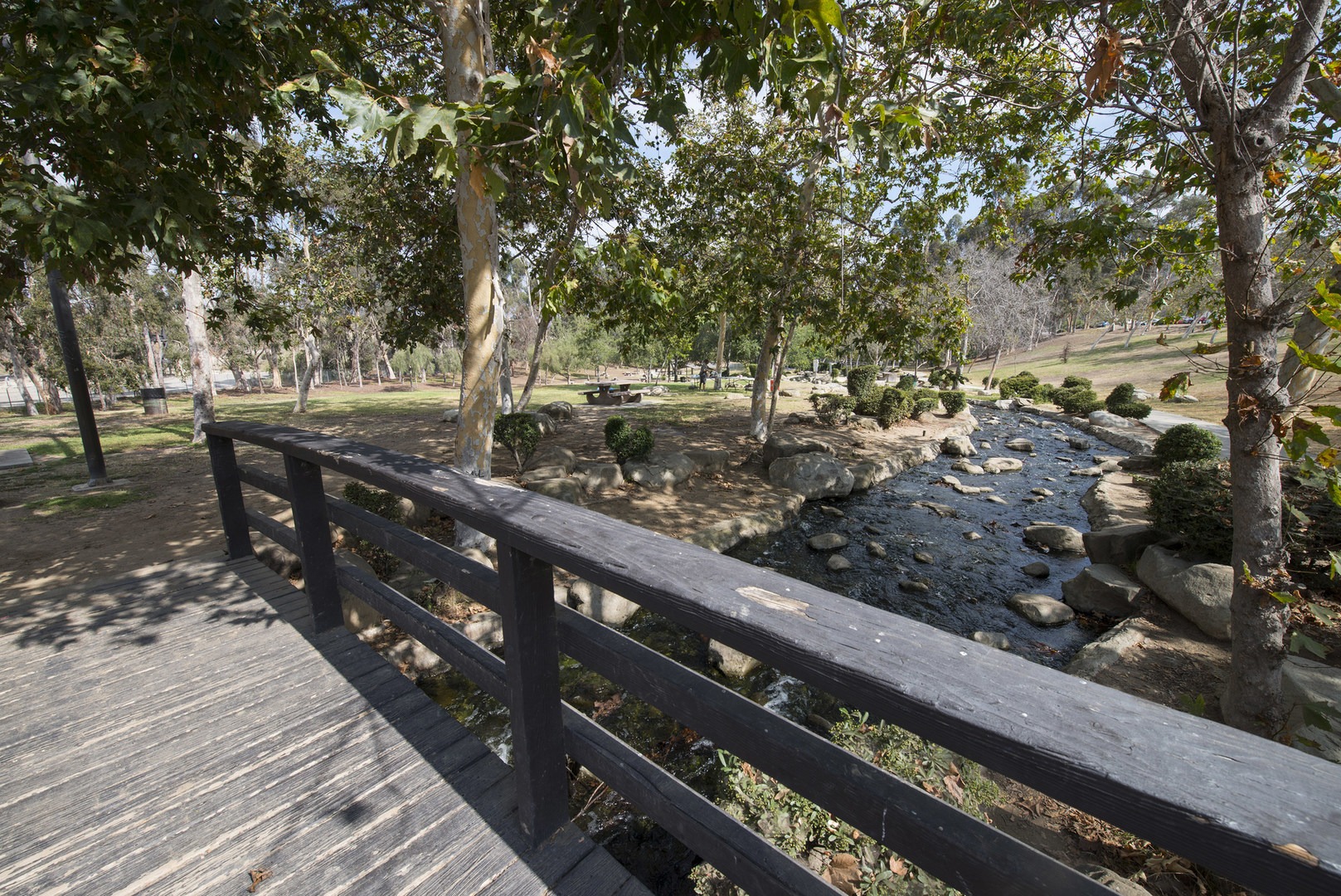 Hahn State Recreation Area Outdoor Project