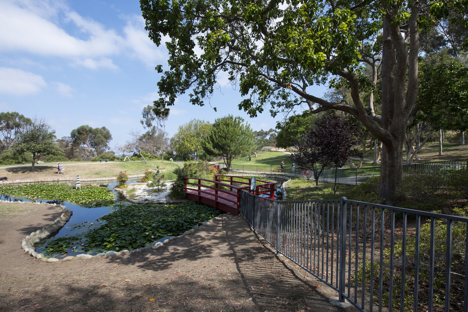 Hahn State Recreation Area Outdoor Project