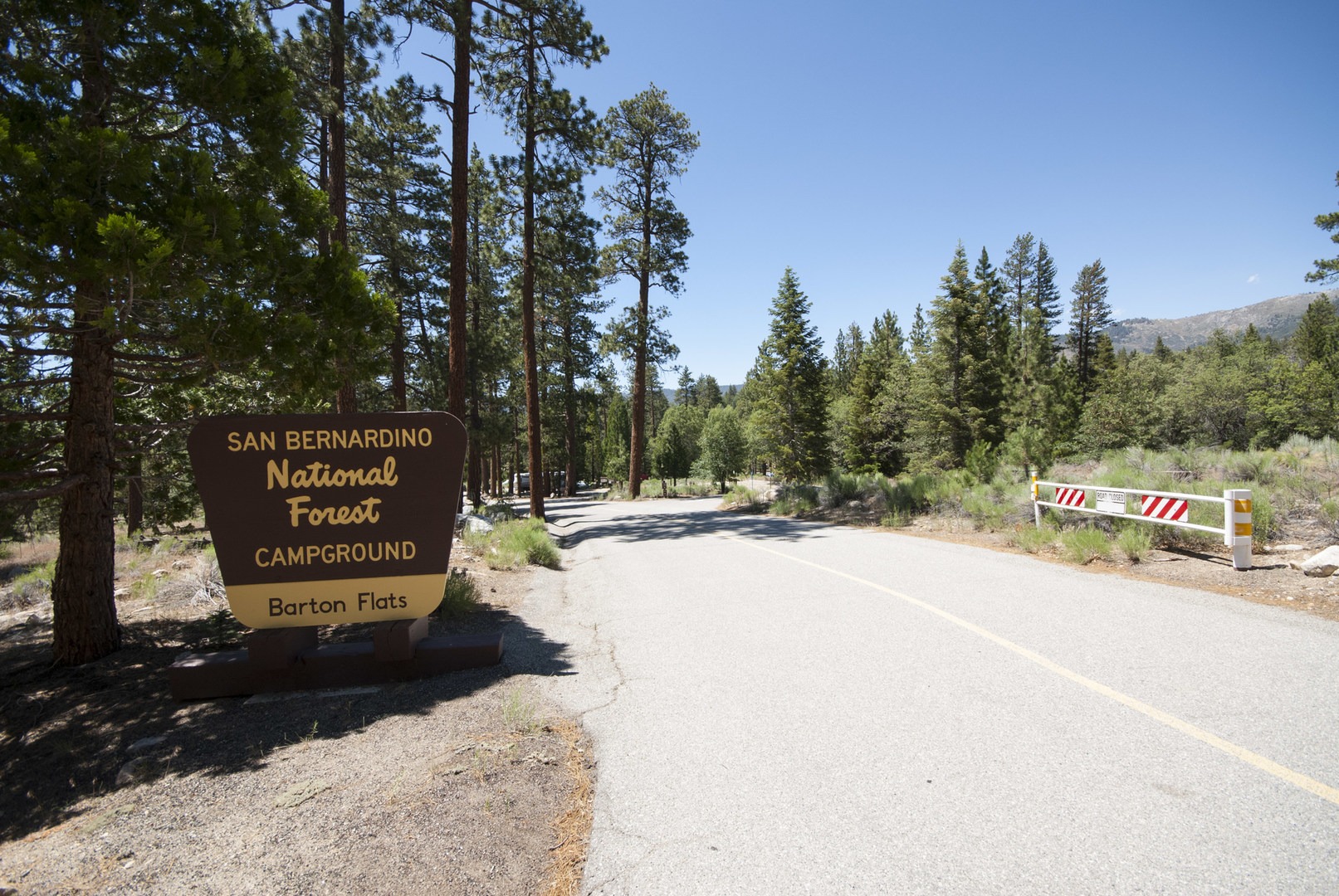 Barton Flats Campground Outdoor Project