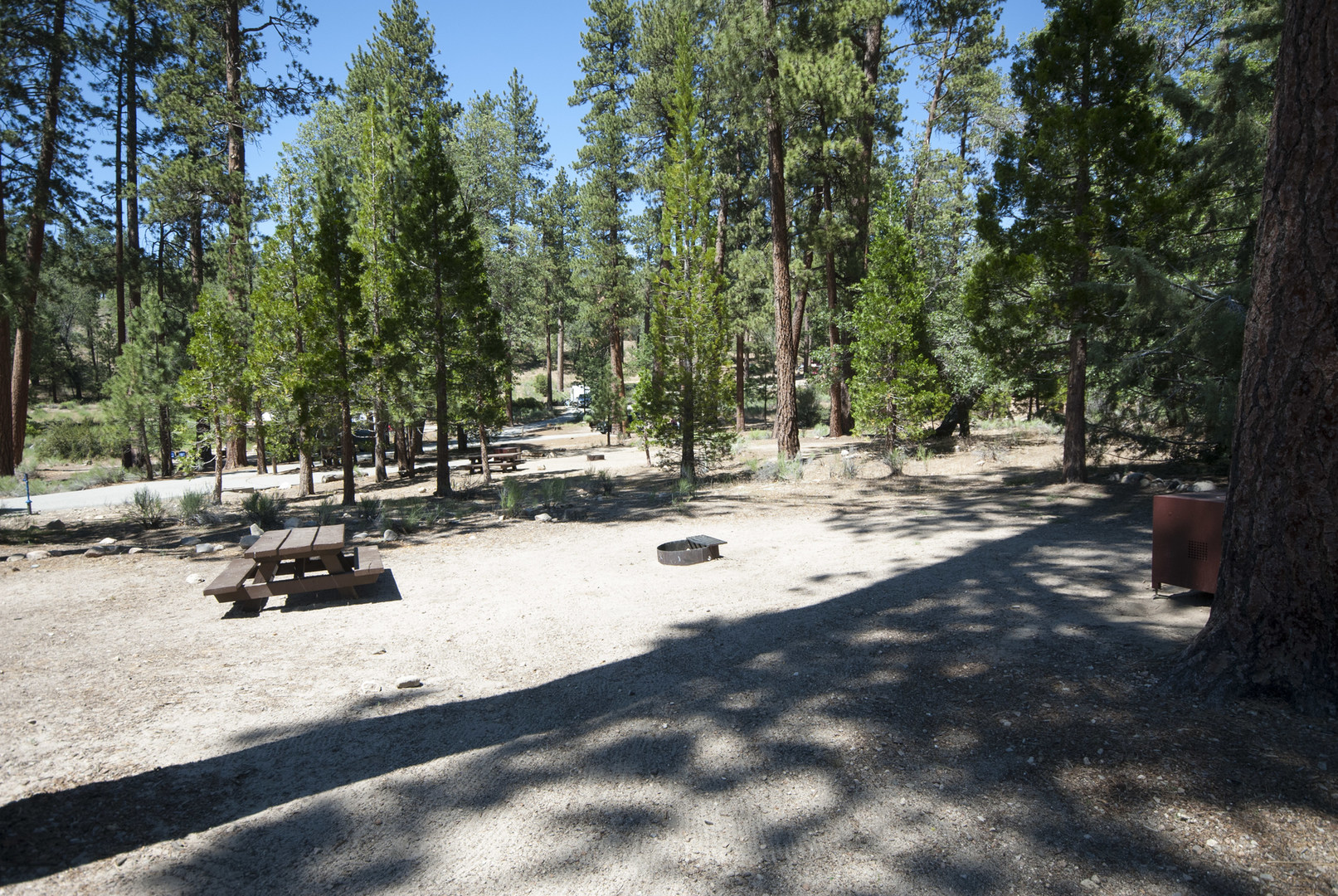 Barton Flats Campground Outdoor Project