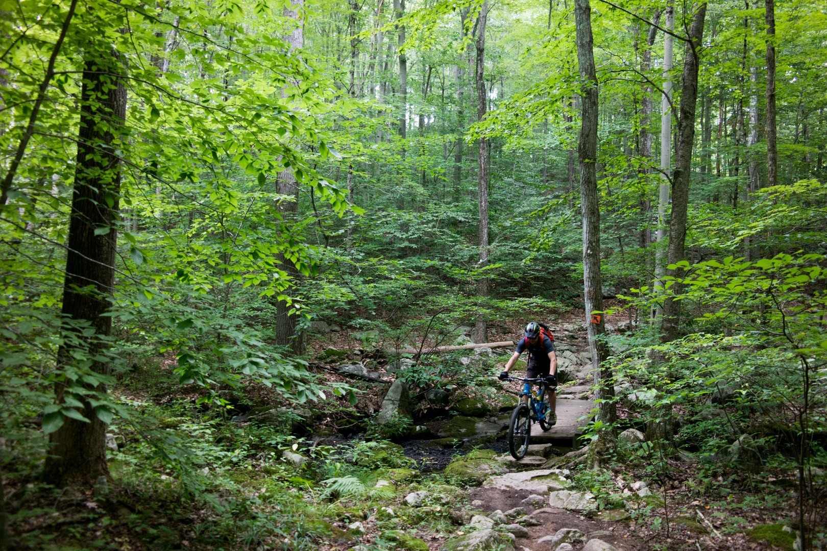 Trout Brook Valley Preserve Mountain Biking Outdoor Project