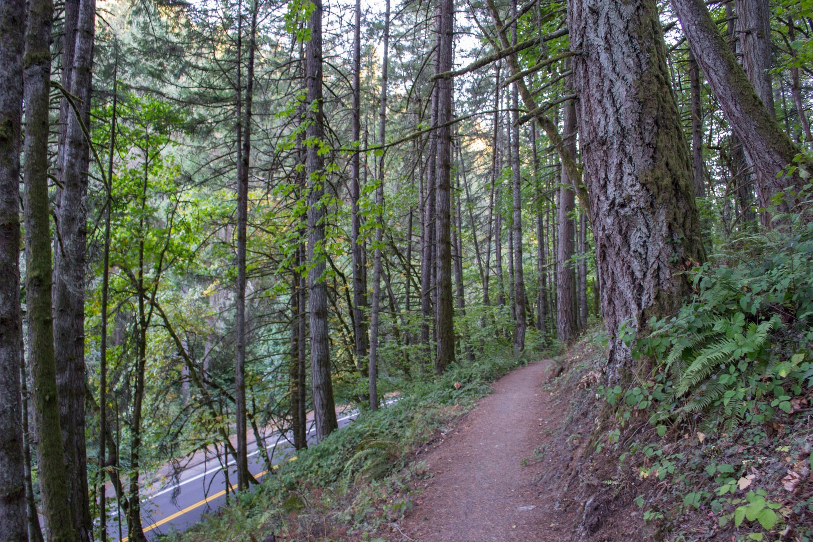 Ridgeline Trail System: Blanton Trailhead  Outdoor Project