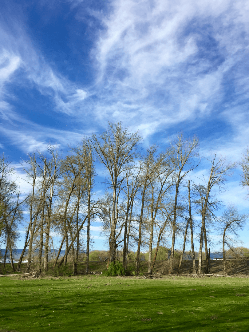 Irene Rinehart Riverfront Park Outdoor Project