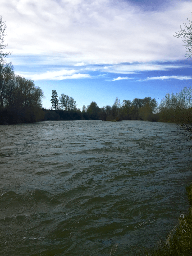 Irene Rinehart Riverfront Park Outdoor Project
