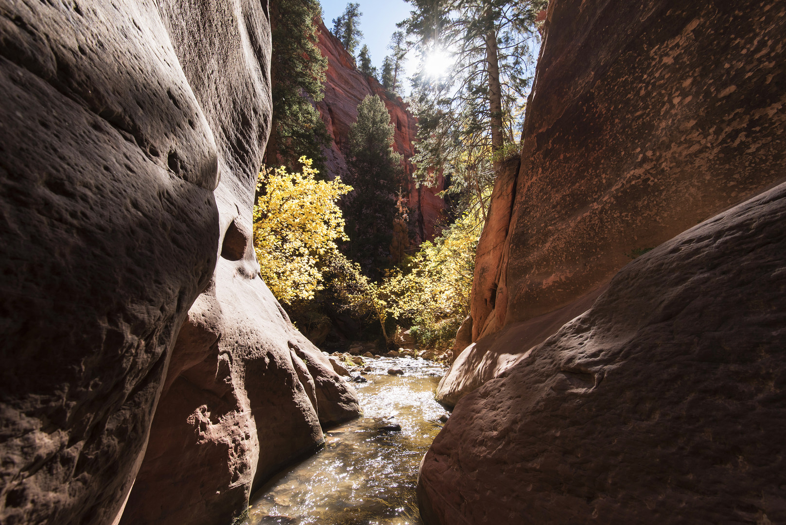 Kanarra Creek Trail to Kanarraville Falls Outdoor Project