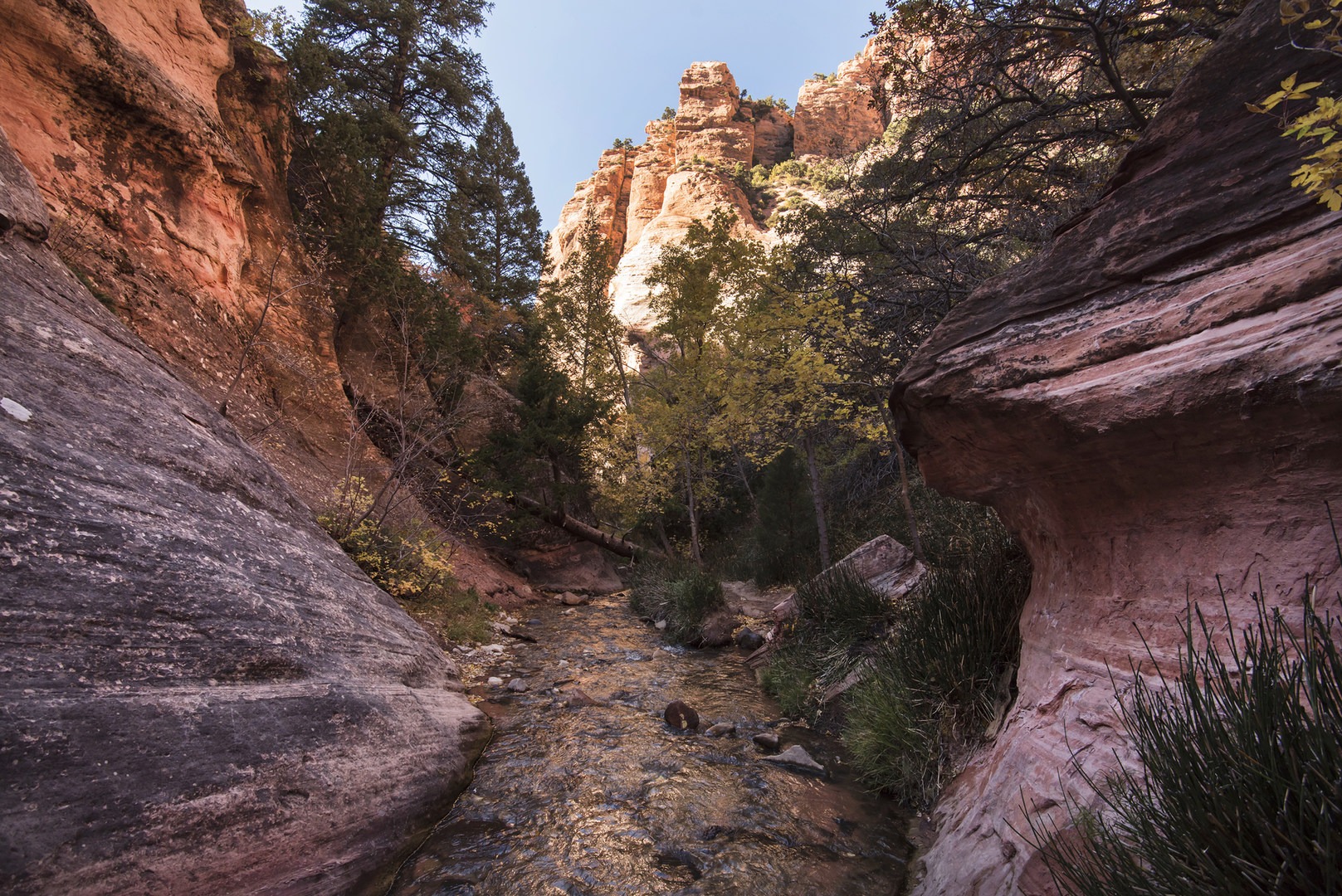Kanarra Creek Trail to Kanarraville Falls Outdoor Project
