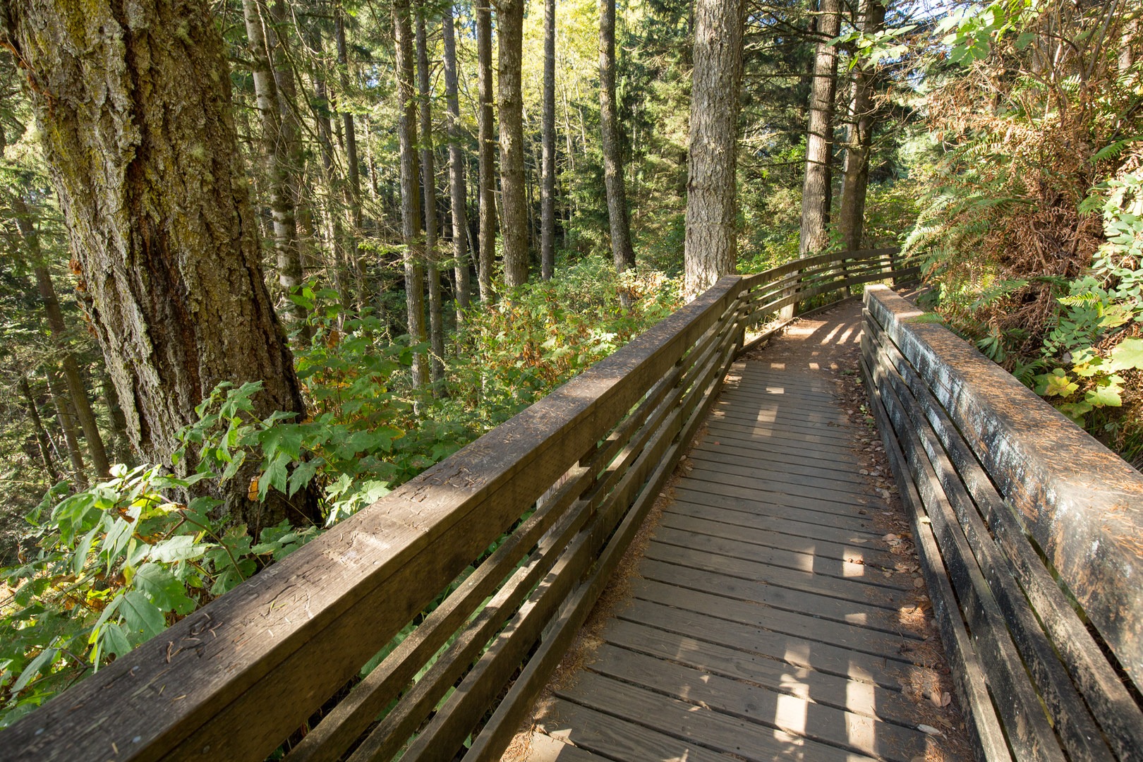 Natural Bridges Viewpoint Outdoor Project