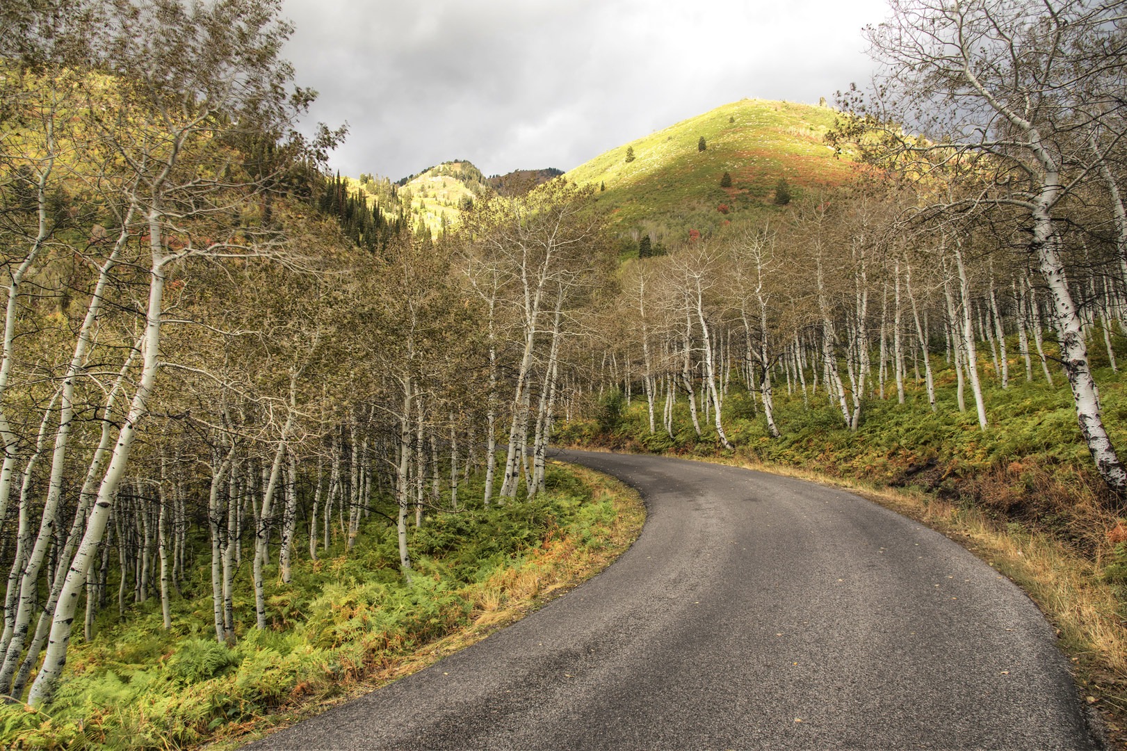 Alpine Loop Scenic Drive Outdoor Project