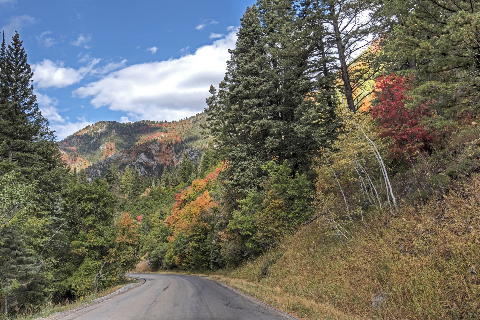 Alpine Loop Scenic Drive Outdoor Project