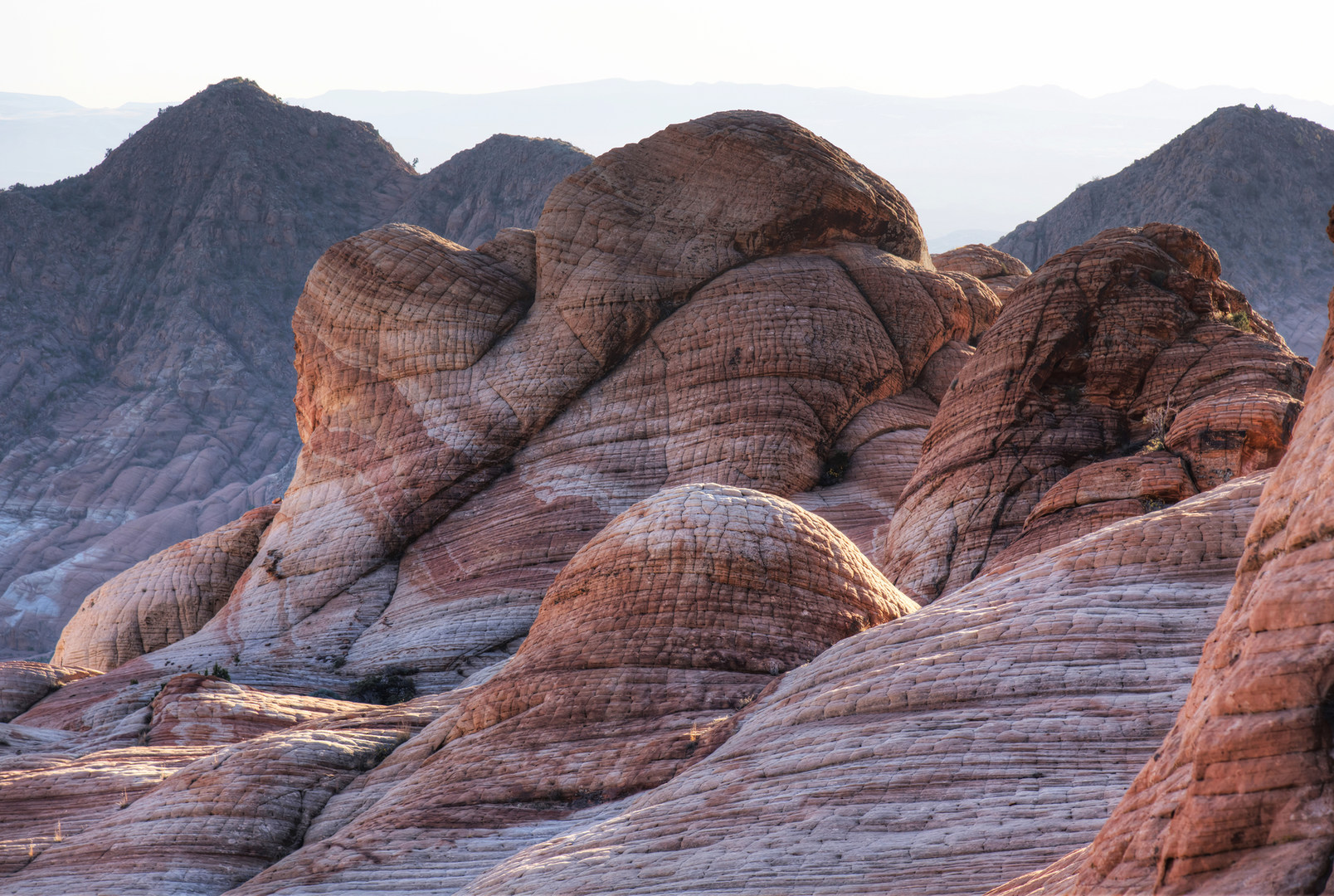 Candy Cliffs of Yant Flat Outdoor Project