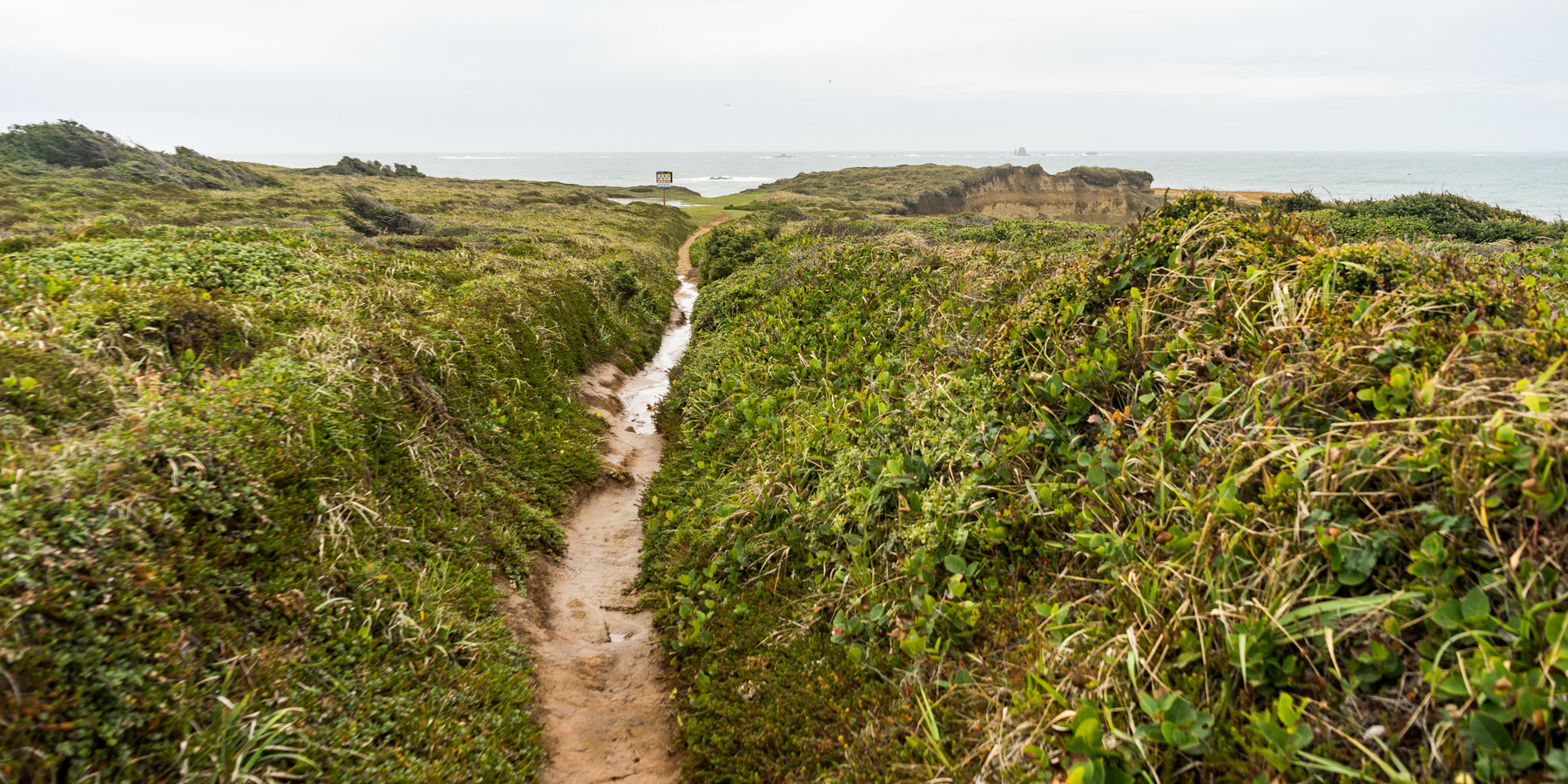 Otter Point State Recreation Site Outdoor Project