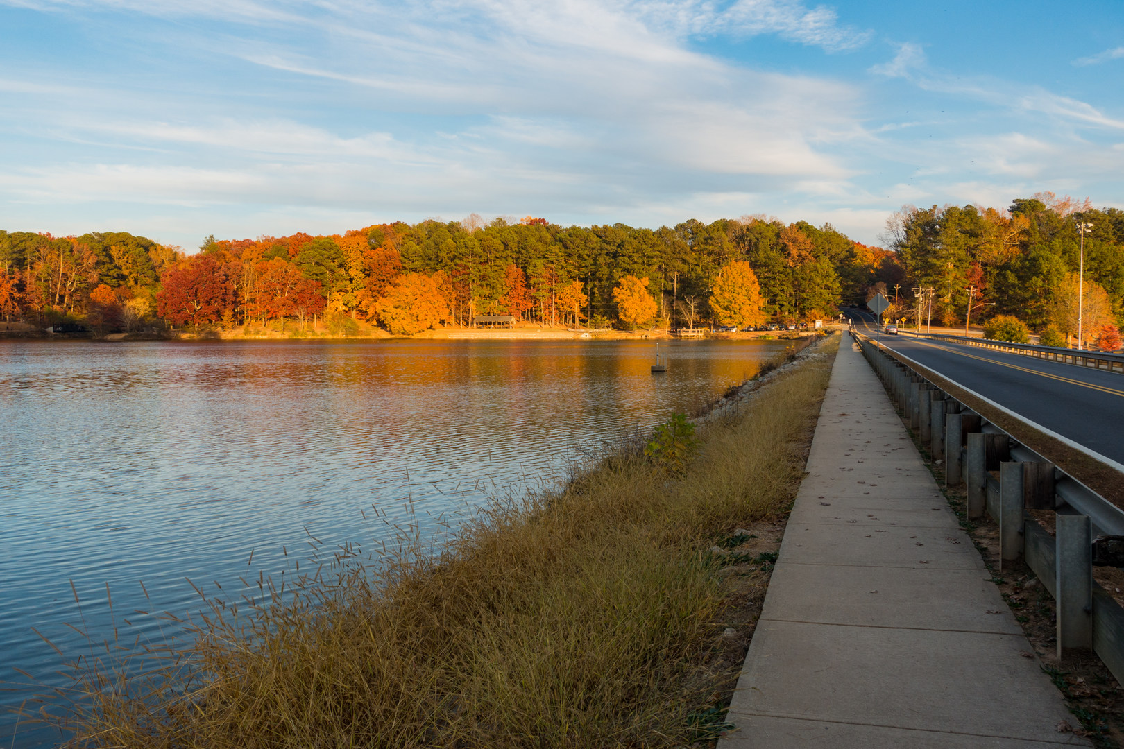 Murphy Candler Park Outdoor Project