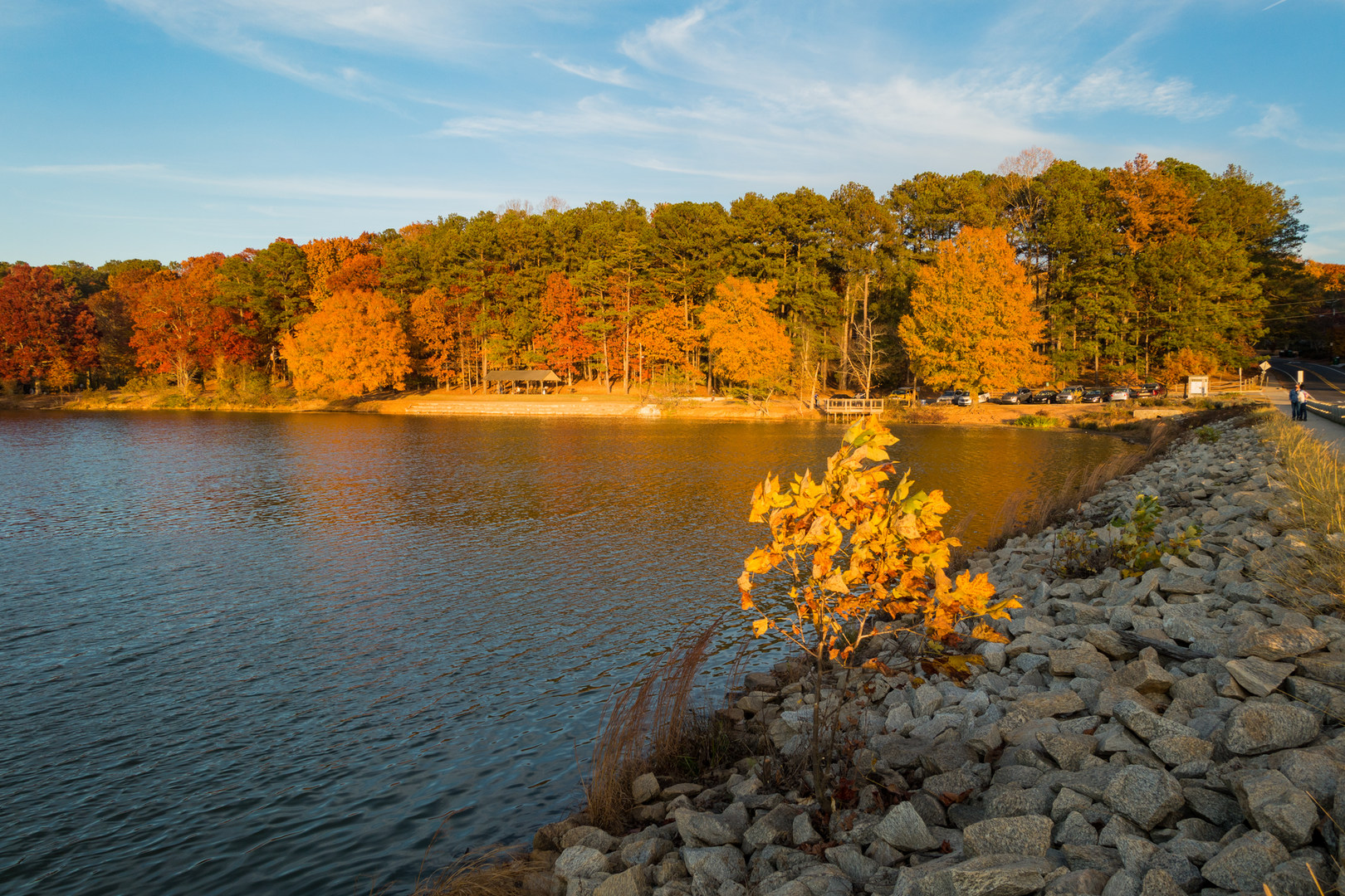 Murphy Candler Park Outdoor Project