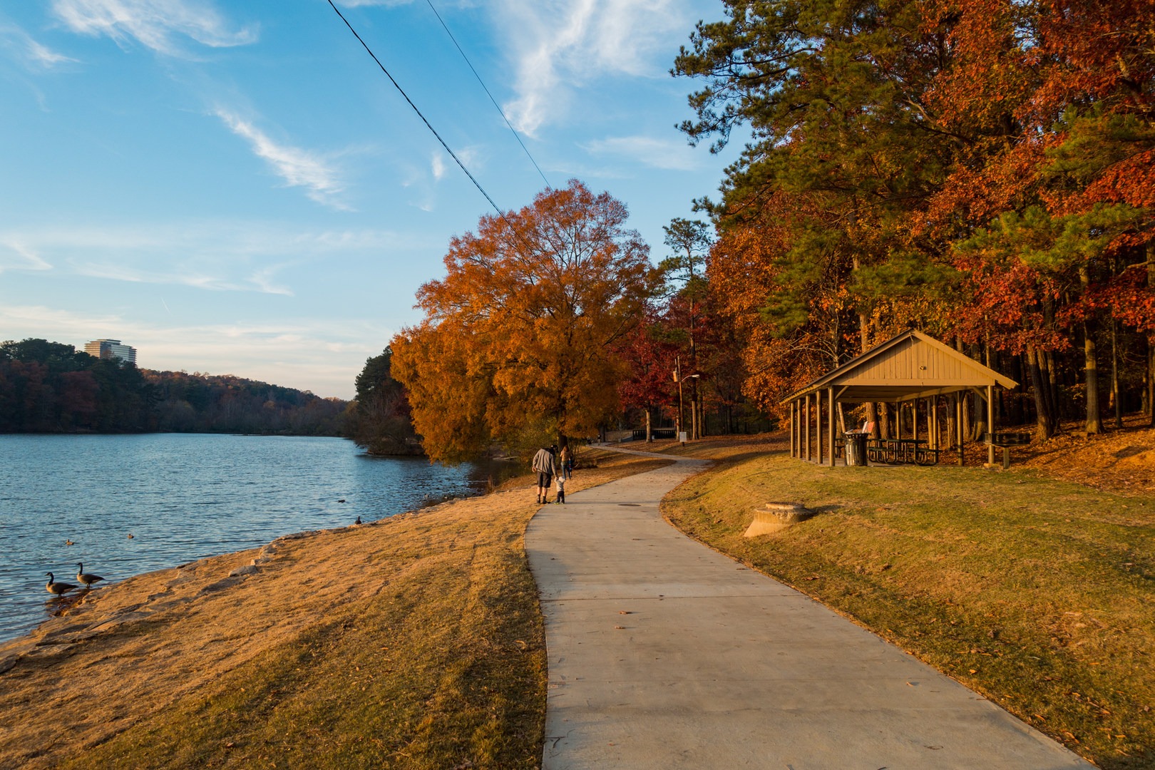 Murphy Candler Park Outdoor Project