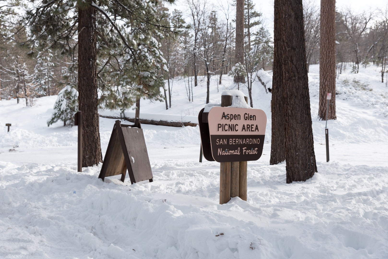 Aspen Glen Picnic Area Sledding Outdoor Project