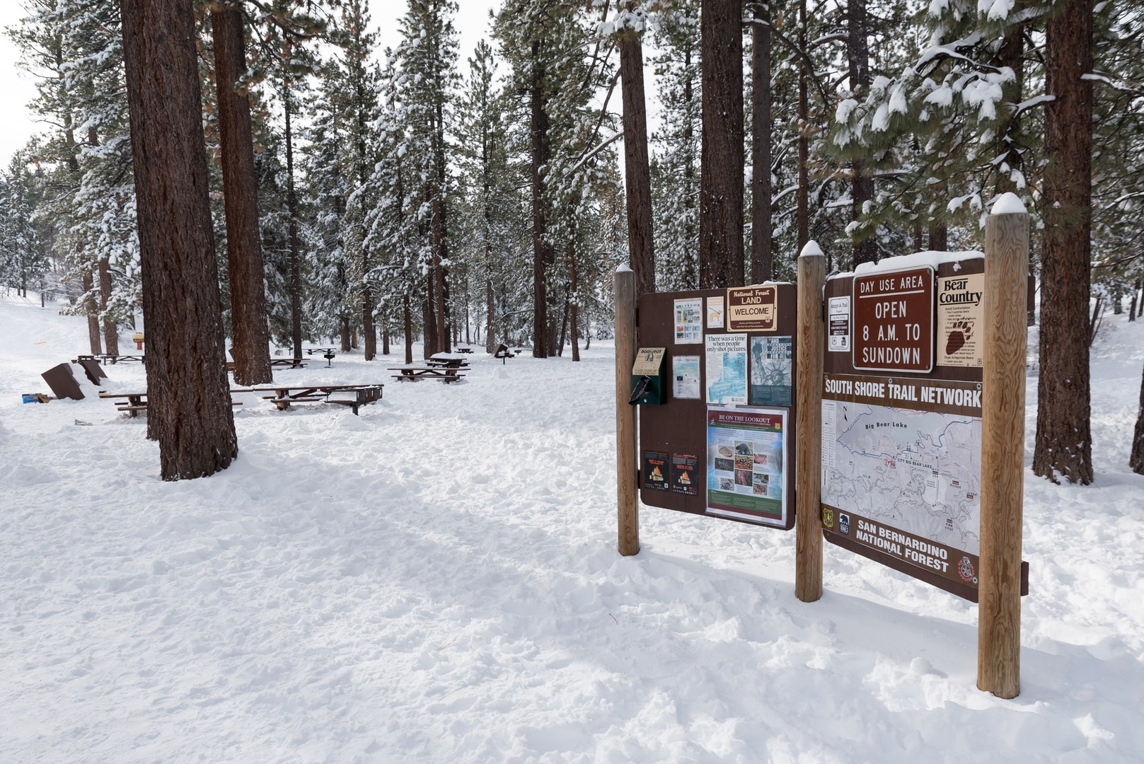 Aspen Glen Picnic Area Sledding Outdoor Project