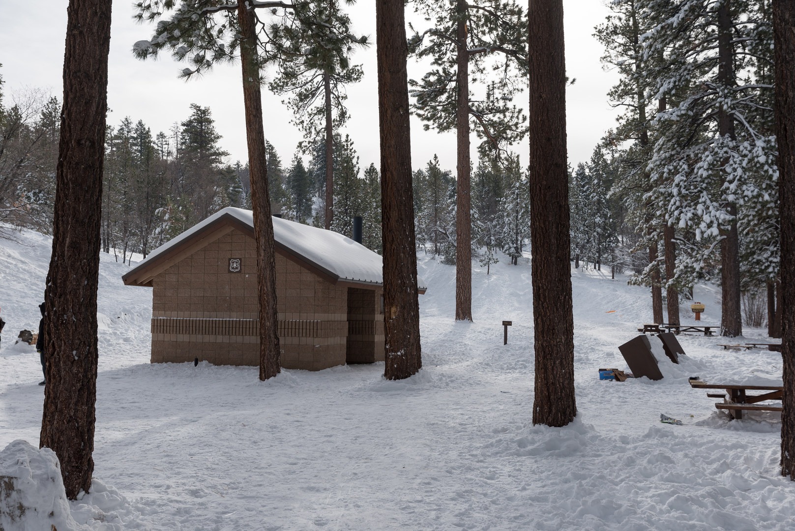 Aspen Glen Picnic Area Sledding Outdoor Project