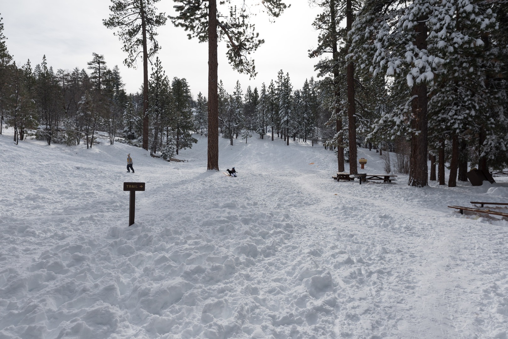 Aspen Glen Picnic Area Sledding Outdoor Project