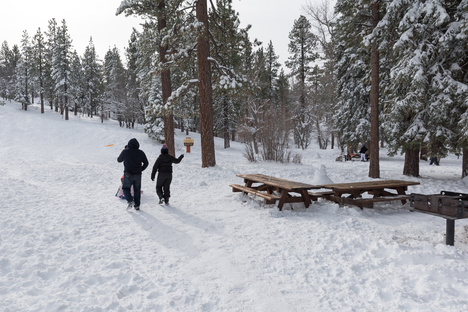 Aspen Glen Picnic Area Sledding Outdoor Project