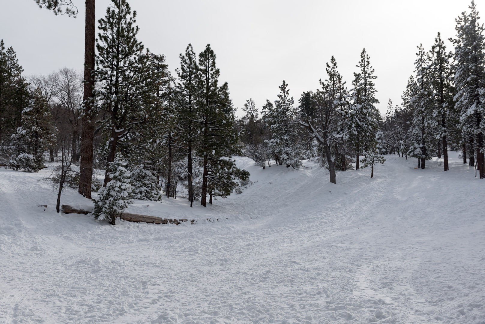 Aspen Glen Picnic Area Sledding Outdoor Project