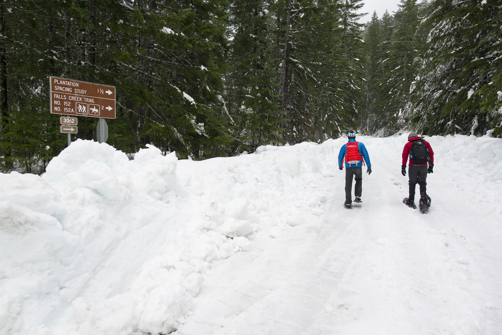 Falls Creek Falls Snowshoe Outdoor Project