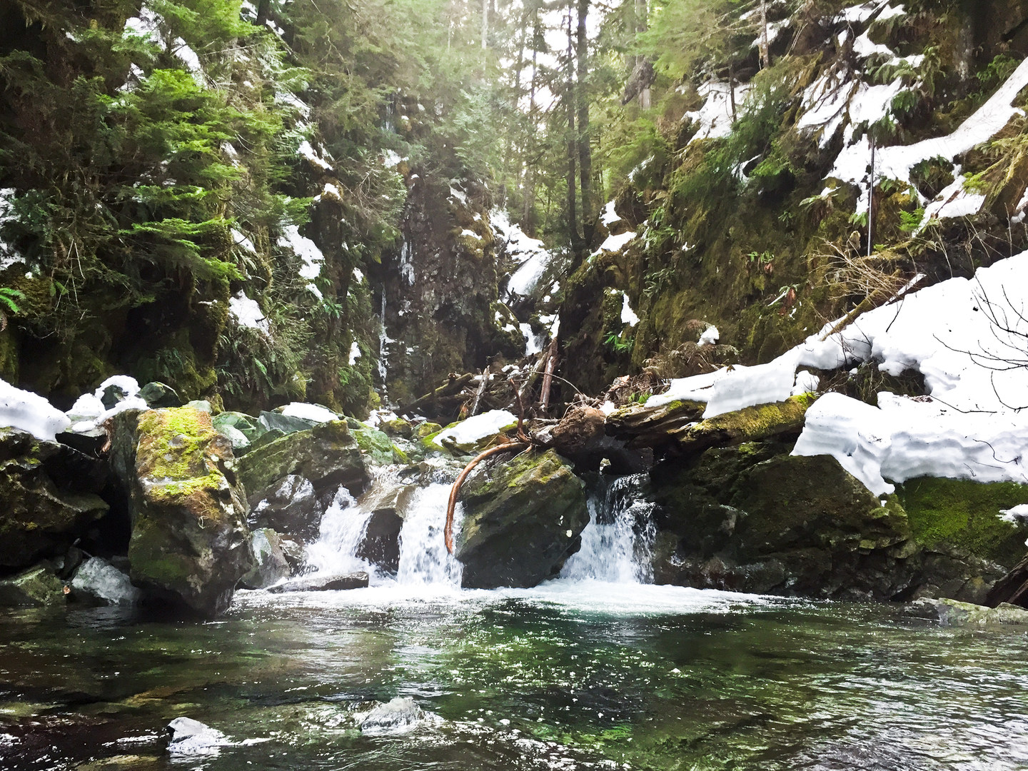 Ipsut Creek Backcountry Campground Outdoor Project