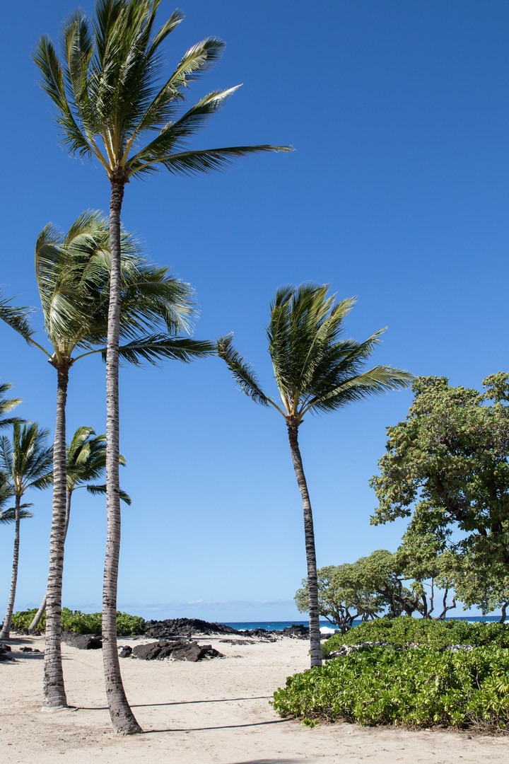Kikaua Point Park + Beach Outdoor Project