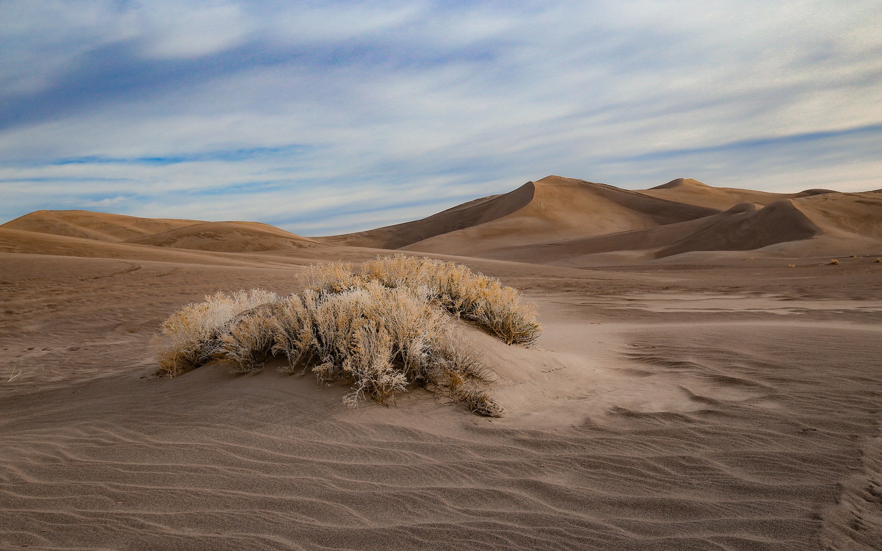 Amargosa Big Dune Outdoor Project