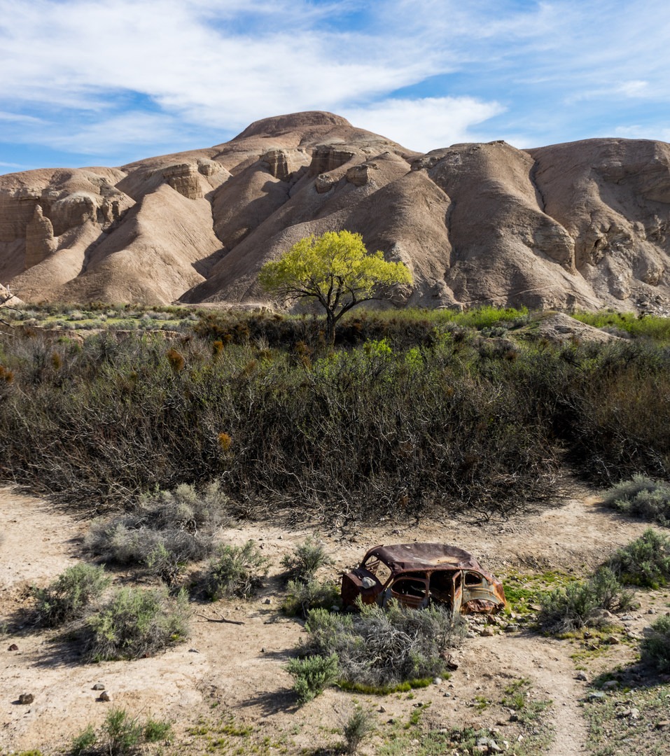 Albums 90+ Images china ranch date farm photos Stunning