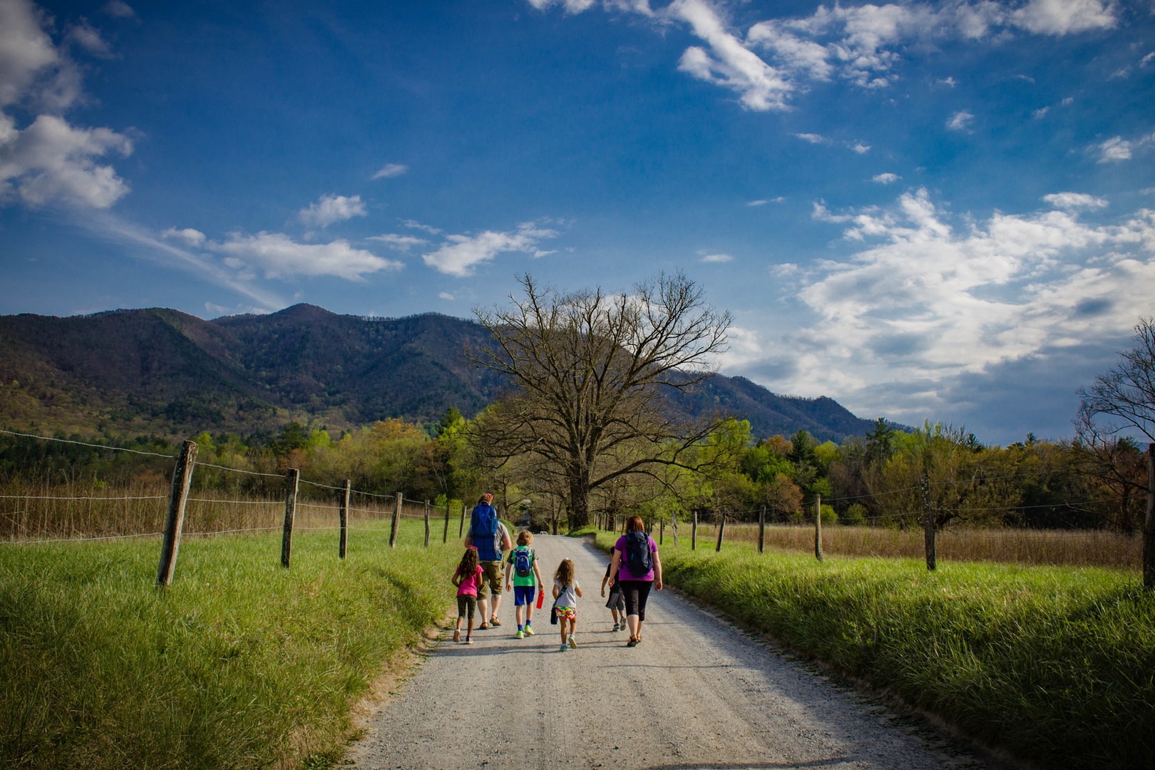 Cades Cove Loop Outdoor Project